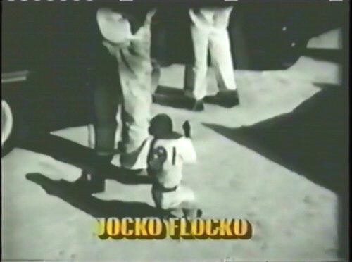 Jocko2.jpg