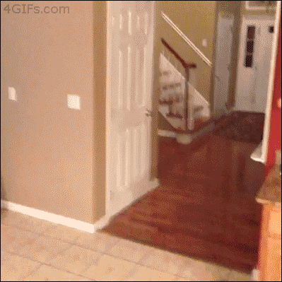 kXh4ZmI.gif