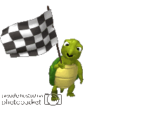 turtle_waving_race_flag_lg_clr.gif