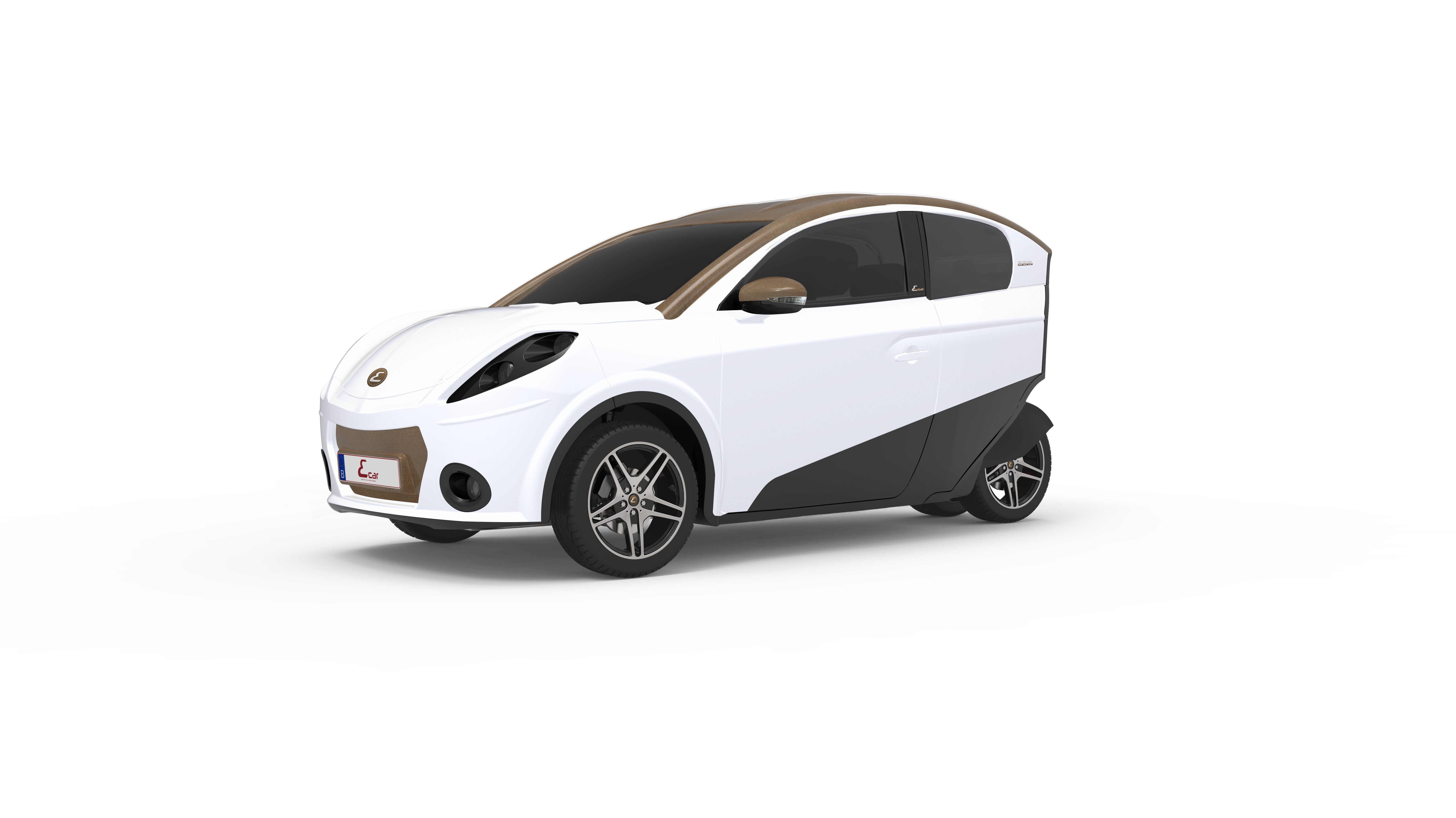 ECAR333_2017av.jpg