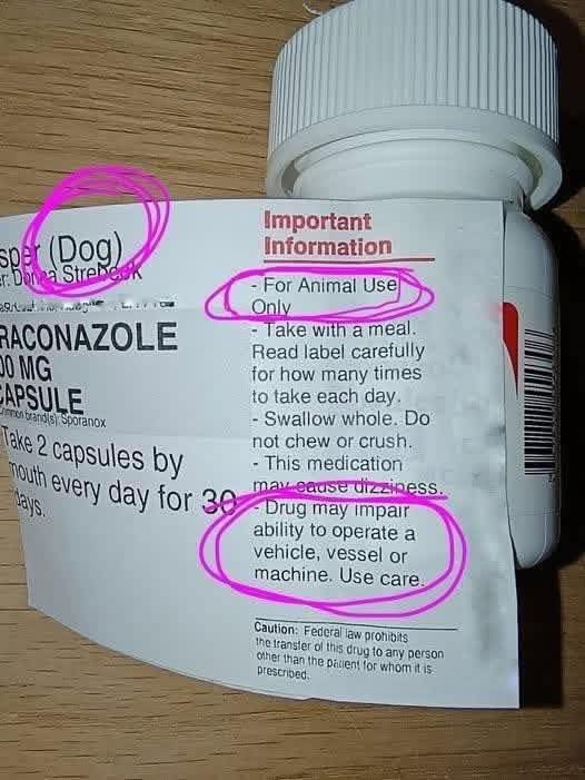 animal-use.jpg