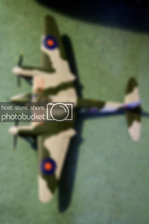 IMG_8021-001copy.jpg