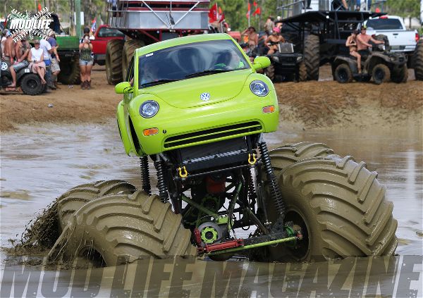 mud+bug.jpg