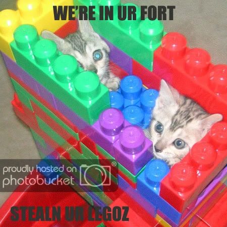 catlegos.jpg