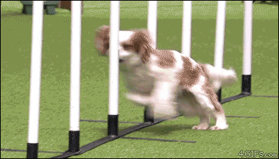 tumblr_nkieudUxtW1tlb56zo1_500.gif