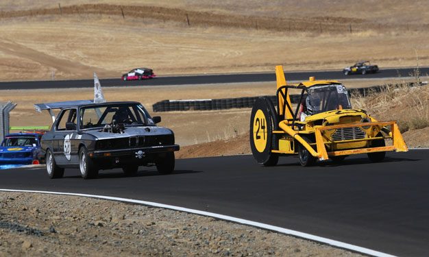 Thunderhill-Cat-2.jpg