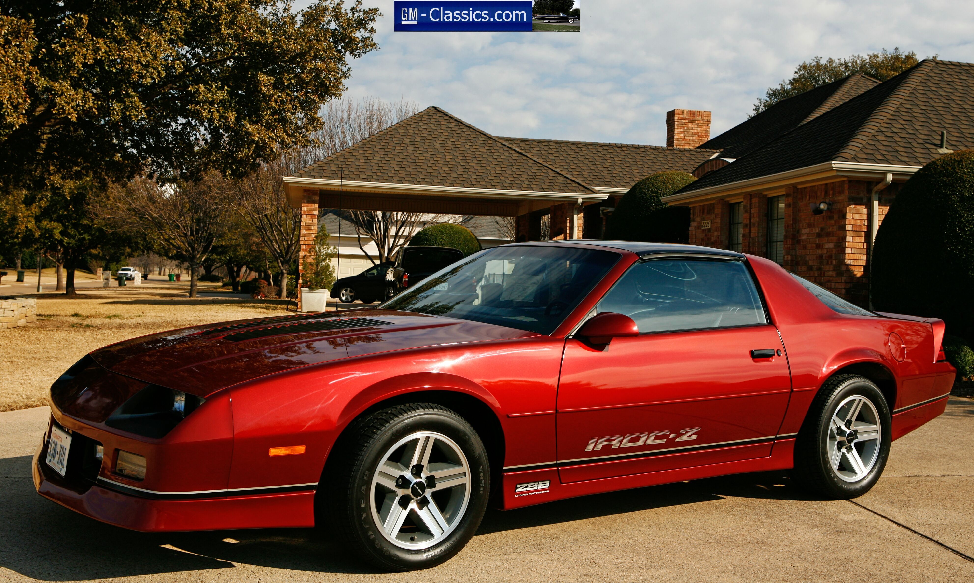 CARS-01.JPG