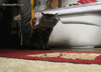 212.gif
