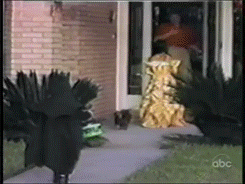 03-daily-gifdump-13.gif