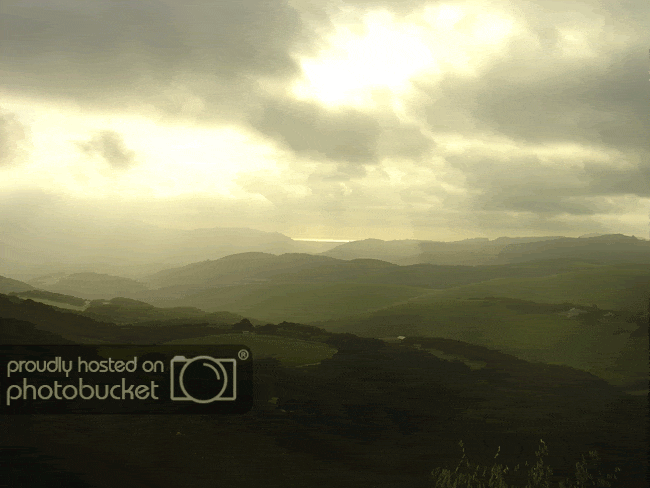 DSC02406.gif