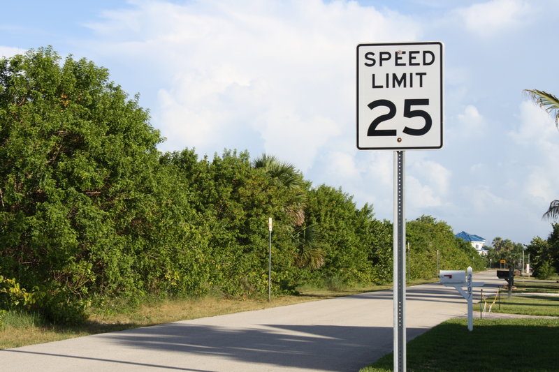 Speed_Limit_25_by_darkcipher93.jpg