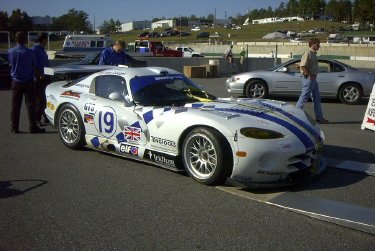 viper2.jpg