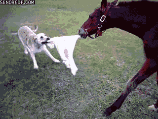HLOLW9F.gif
