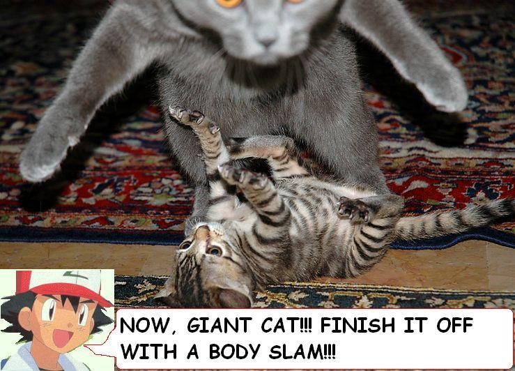 1168702253-Bodyslam.jpg