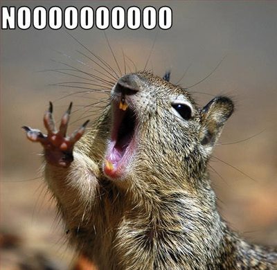 400x390px-LL-e49a9db0_2694-noooooooooooo.jpeg