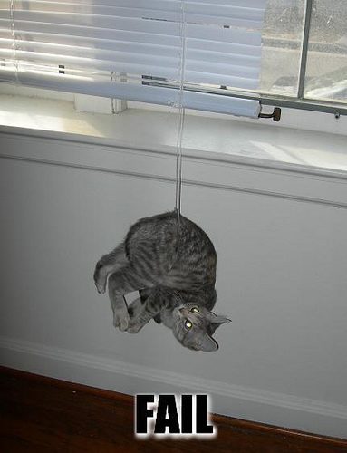 cat-fail.jpg