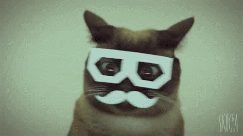 dubstepcat.gif