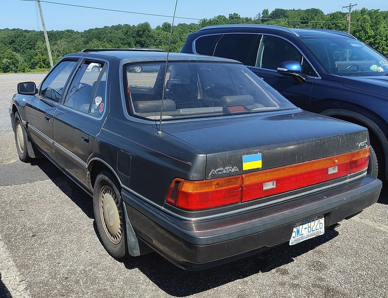 53801925092_c64325f328_c.jpg