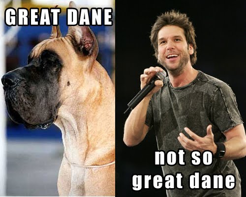 notsogreatdane.jpg