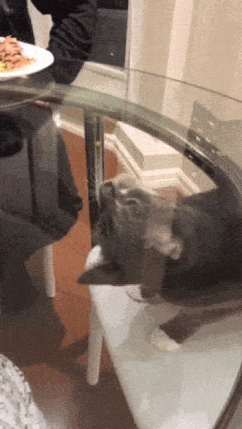 LJlMxW1.gif