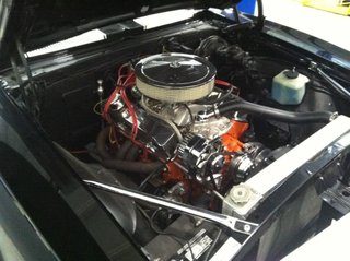IMG_1198.jpg