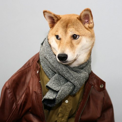 tumblr_mvt0fzIRVK1s4yg05o2_r1_500.jpg
