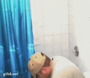 13-gif_prank_2.gif