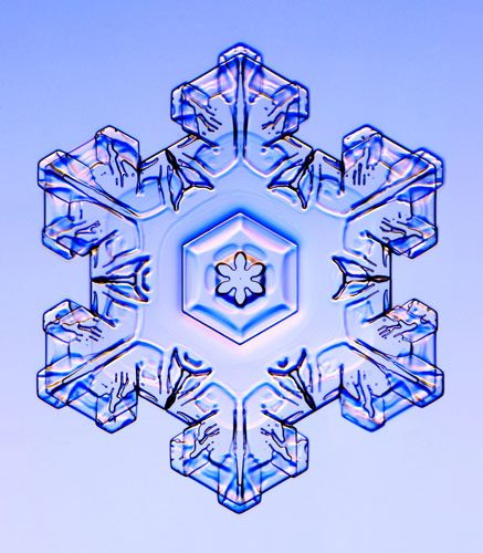 Gallery-Snowflakes-A-Stel-006.jpg