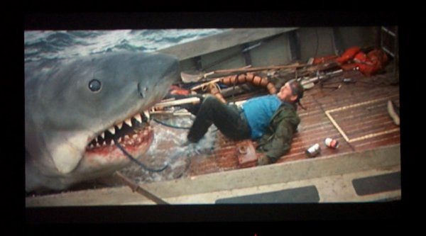 jaws.jpg