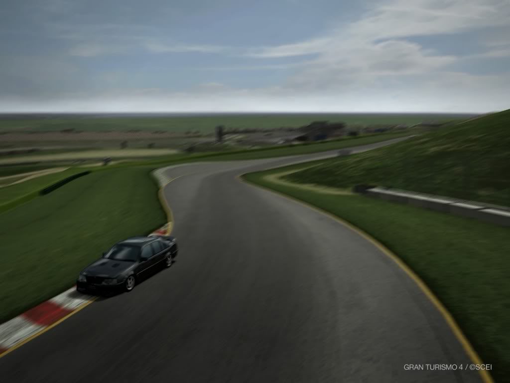 IMG0137.jpg