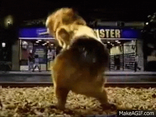 iQk0Q1.gif
