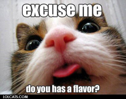 lolcatsdotcombyfi0jka68hv5wfw.jpg