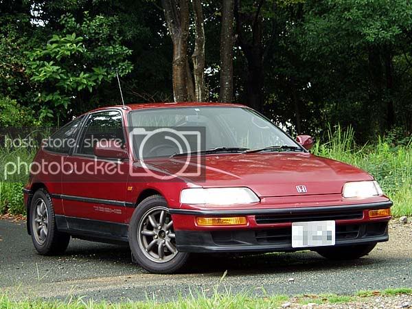 pagong-img600x450-1095568850crx1.jpg