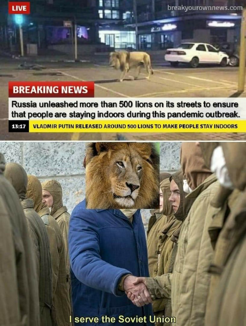 5p2vlcccrz4.jpg