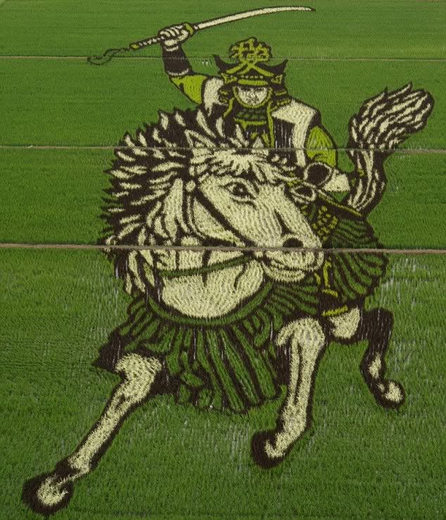 rf009.jpg