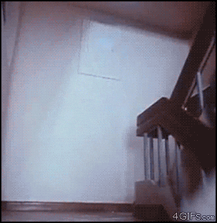 The Shocking, Crazy or WTH GIF Thread! | GTPlanet