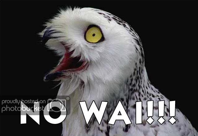 no_wai.jpg