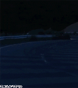 tumblr_m6ozpgdR9F1r7k8l2o1_250.gif