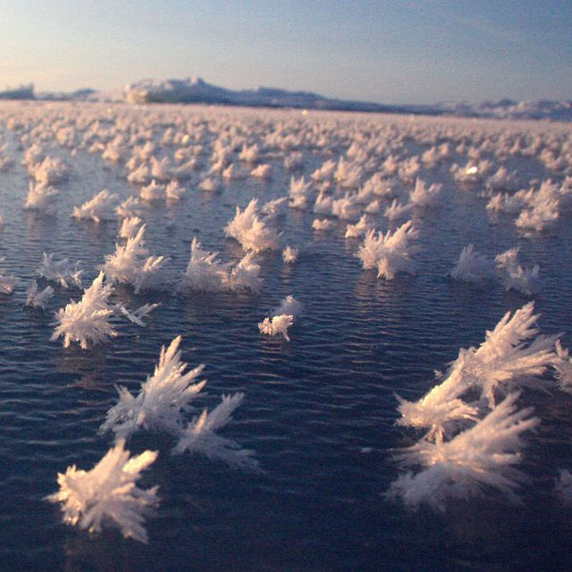 frost-2.jpg