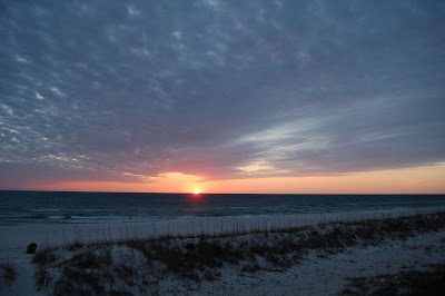 DSC_2410.JPG