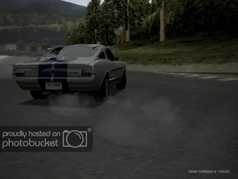 ShelbyMustangGT350.jpg
