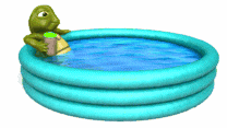 turtle14.gif