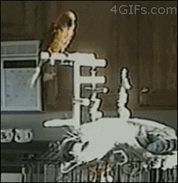 hsBSwPC.gif