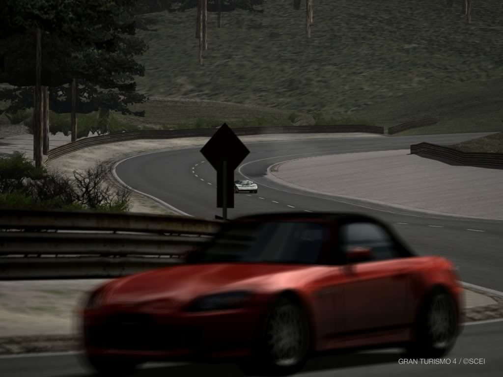 IMG0007.jpg