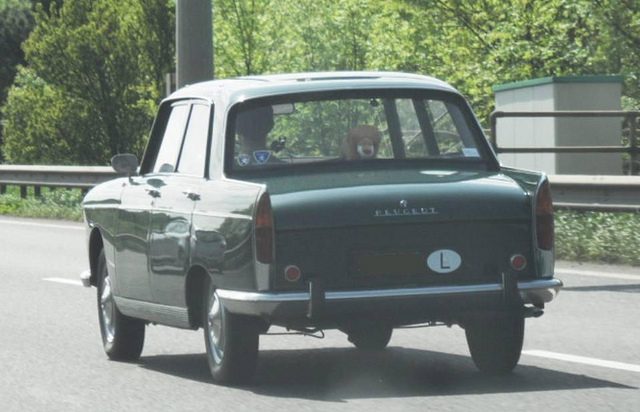 7501963344_81279697d8_z.jpg