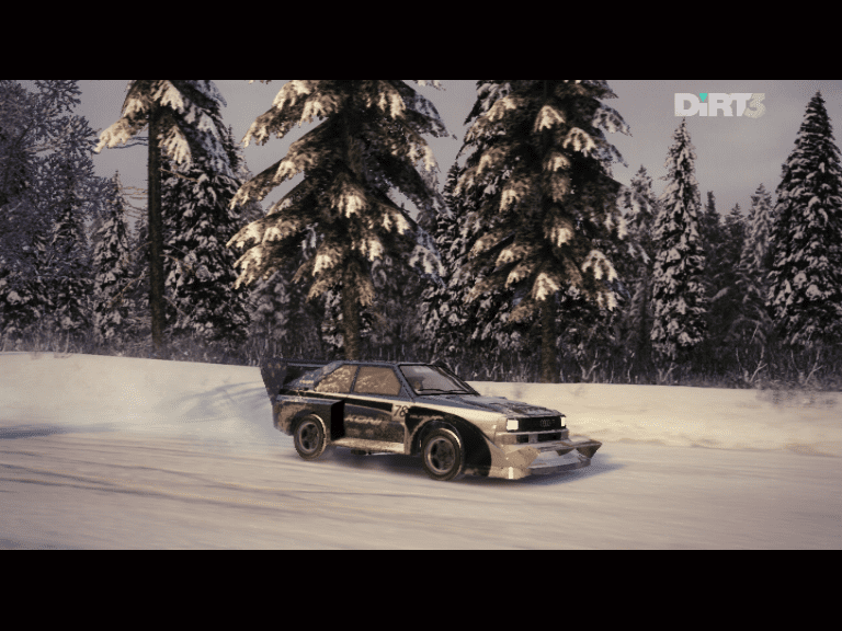 DiRT3-Harrison_3.png