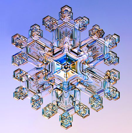 Gallery-Snowflakes-A-Stel-001.jpg