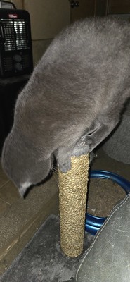 54711750932_8932c3c7fa_w.jpg
