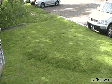13.gif