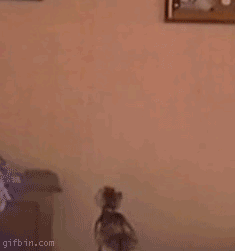 gatos-dominando-mundo-30.gif